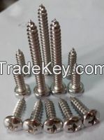 SS316 Pan Head Self Tapping Screw