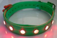 Sell LED dog collar