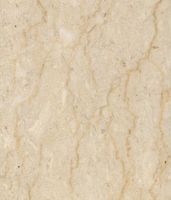 Sell Italian Cream, slabs and tiles