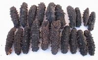 Sell dried sea cucumber