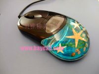 Real Starfish Inside USB Optical Mouse New Styles, Souvenir , Novelti