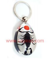 Sell Real Insect Amber Keychain(souvenir , novelties, gift promotion)