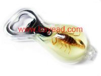 Real Insect Amber Bottle Opener, novel gift, Corporate Gift, souvenir gif