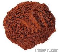 Sell Pine Bark Extract