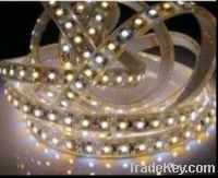 Sell LED SMD5050 dimmable Double Color flexible strip