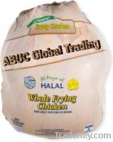 Sell USA halal whole chicken