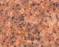 Sell Granite tile, slab, Granite counter top, Four Season