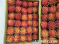 FRESH RAMBUTAN