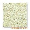 Sell White Hulled Sesame Seeds