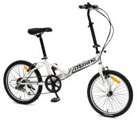 TP-20F9016S FOLDING BIKE