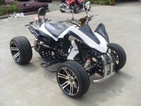 ATV 250cc EEC racing