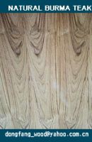 Sell  teak fancy PLYWOOD