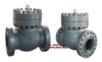 Sell check valve(class1500)