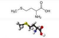 Sell Methionine