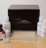 Sell Human COMP Elisa Kit