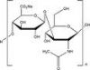 Sell Sodium Hyaluronate