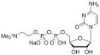 Sell Citicoline Sodium