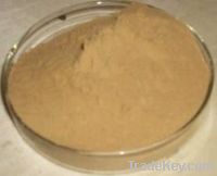 Sell Yucca extract