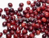 Cranberry Extract