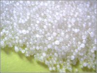 Sell Caustic Soda Pearls