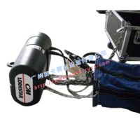 1T CM Electric Hoist