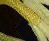 Sell UHMWPE ROpe/Dyneema Rope/Mooring Rope(Yellow)