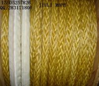 Sell Dyneema/UHMWPE Rope/Mooring rope