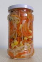 Sell canned vegetables/chinese vegetables/mixed vegetables