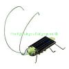 Sell solar Grasshopper Kit
