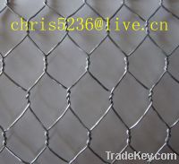 Sell stainless steel hexagonal wire mesh ] hex wire net