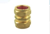 Sell Brass Fitting