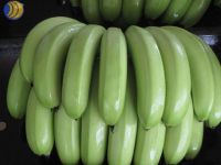 Sell banana(fresh green banana)