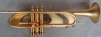 Bb Trumpet GTR-885DG