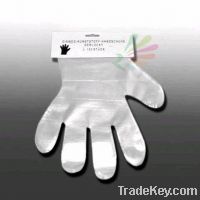 sell Disposable PE Glove