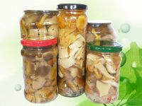 Sell canned Mixed mushrooms