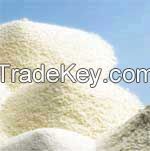 Sell LACTOSE MONOHYDRATE, FOOD GRADE