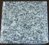 Sell G1791 granite