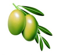 Sell: Olive Leaf Extract