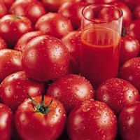 Sell Lycopene, Lycopene Powder, lycopene oil, tomato extract