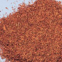 Sell Yohimbe Bark Extract powder, Pausinystalia Yohimbe, Yohimbine HCl