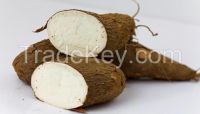 Sell vietnam tapioca starch