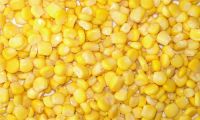 low price canned sweet corn