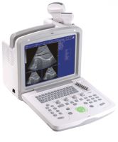 Sell portable convex ultrasound scanner CMS600B-3 (CE certified)