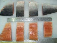 Frozen Salmon Fillet