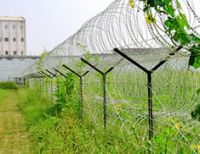 Sell razor barbed wire