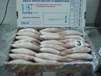 Sell Seafrozen Red Snapper (pargus pargus) WR