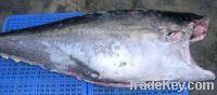 Sell HG fresh yellowfin tuna