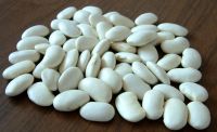 White Kidney Beans 1