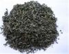 Sell Green Tea Extract Powder