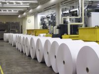 Sell wood free offset printing paper
